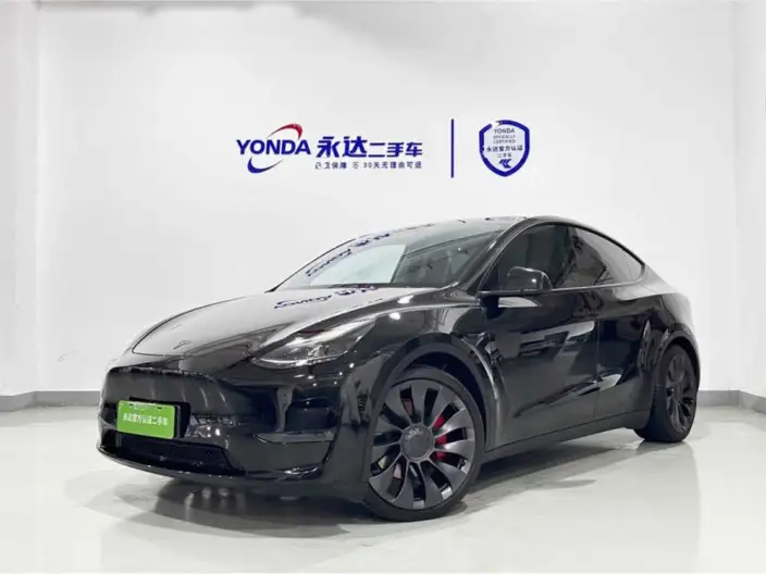 Model Y 2022 Model Performance High performance All-wheel drive version – фото 1