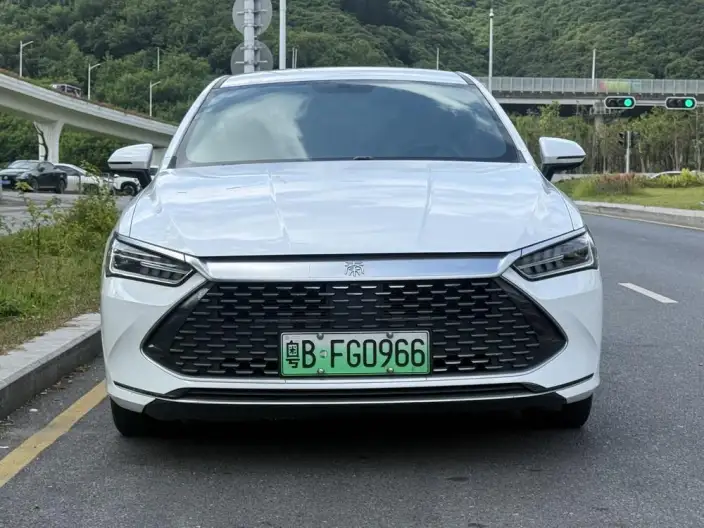 BYD Qin PLUS DM 2024 Model Honor Edition DM-i 55KM Leading Model – фото 2