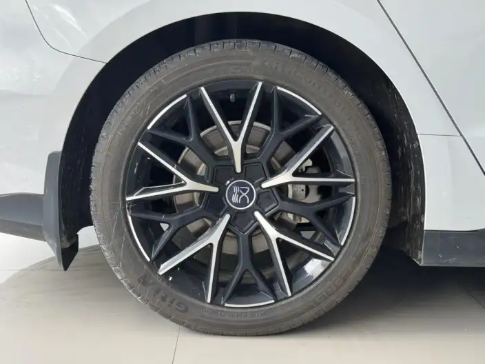 BYD Han EV 2024 Model Honor Edition 506KM Noble Model – фото 6