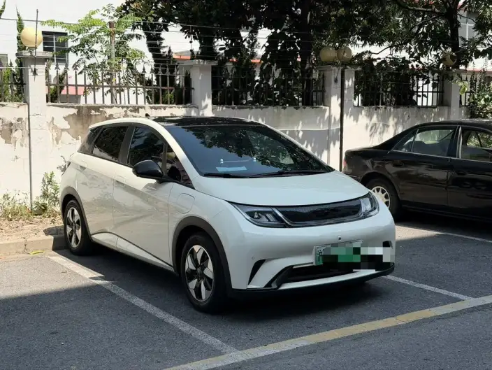 BYD Dolphin 2024 Model Honor Edition 420km Fashion Edition – фото 2