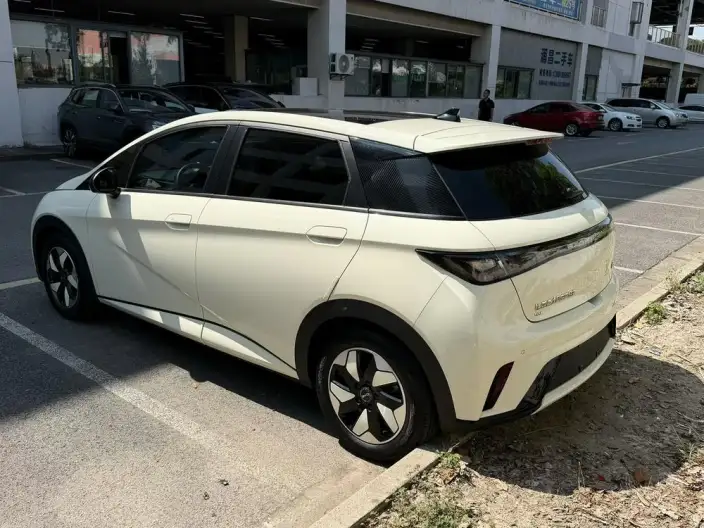 BYD Dolphin 2024 Model Honor Edition 420km Fashion Edition – фото 3