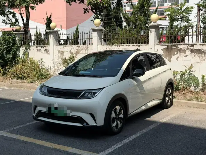 BYD Dolphin 2024 Model Honor Edition 420km Fashion Edition – фото 10