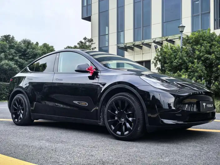 Model Y 2022 Model Facelift Rear-wheel drive version – фото 3