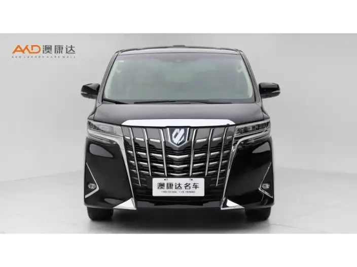 Elfa 2021 Model Hybrid 2.5L Premium Edition – фото 2