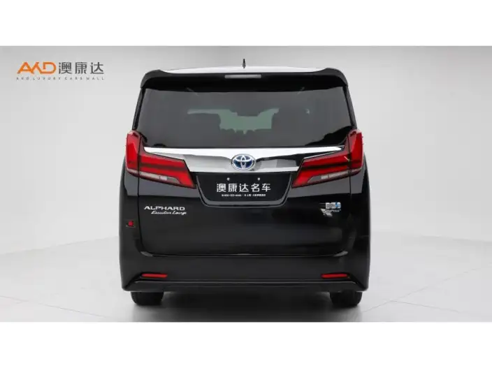 Elfa 2021 Model Hybrid 2.5L Premium Edition – фото 3