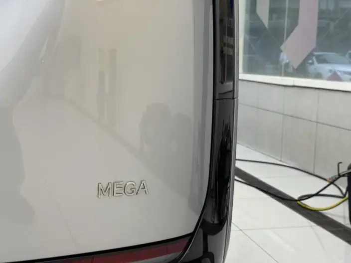 Li Auto MEGA 2025 Model Home Family Special Edition – фото 5