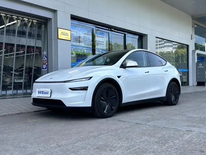 Model Y 2025 Model Rear-wheel drive version – фото 1