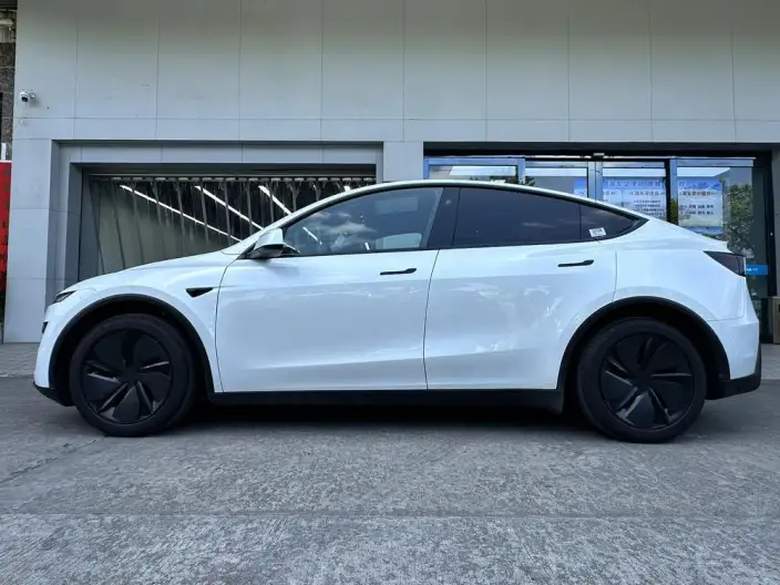 Model Y 2025 Model Rear-wheel drive version – фото 2