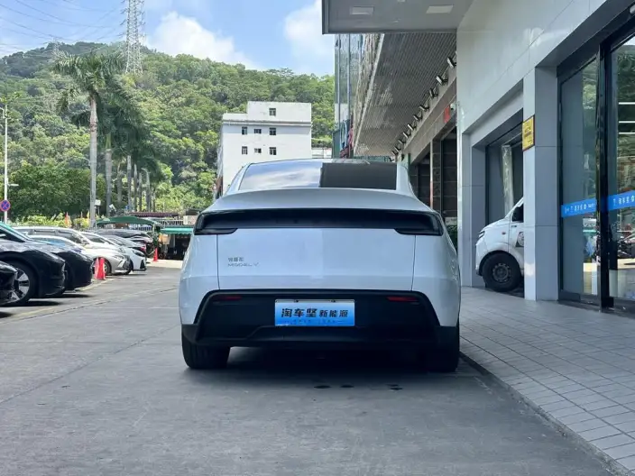 Model Y 2025 Model Rear-wheel drive version – фото 4