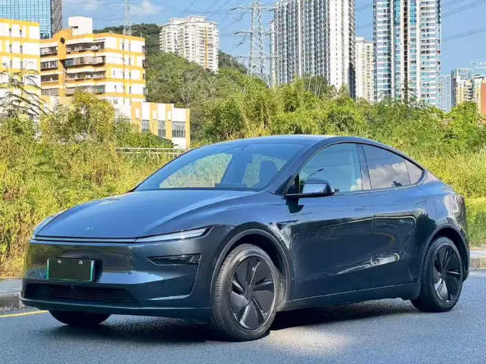 Model Y 2025 Model Rear-wheel drive version – фото 1