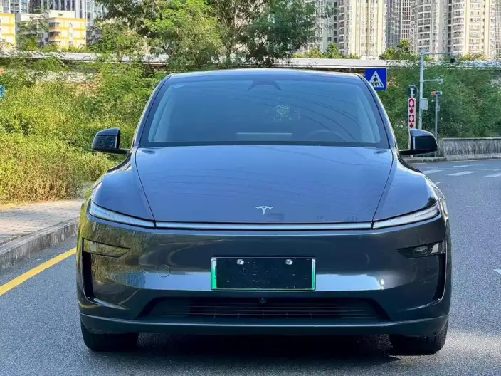 Model Y 2025 Model Rear-wheel drive version – фото 2