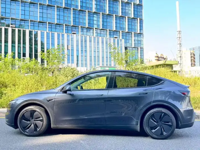 Model Y 2025 Model Rear-wheel drive version – фото 3