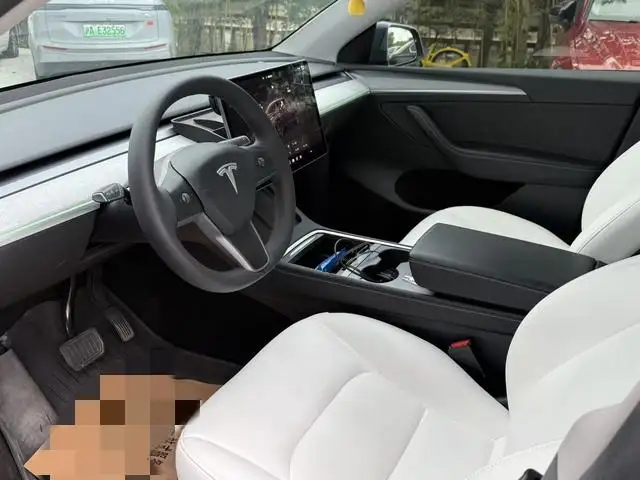 Model Y 2023 Model Rear-wheel drive version – фото 8