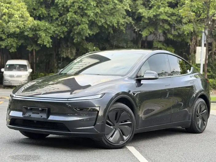 Model Y 2025 Model Rear-wheel drive version – фото 1