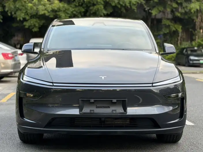 Model Y 2025 Model Rear-wheel drive version – фото 2