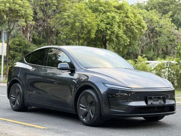 Model Y 2025 Model Rear-wheel drive version – фото 3