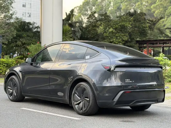 Model Y 2025 Model Rear-wheel drive version – фото 5
