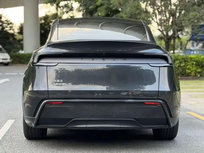 Model Y 2025 Model Rear-wheel drive version – фото 6