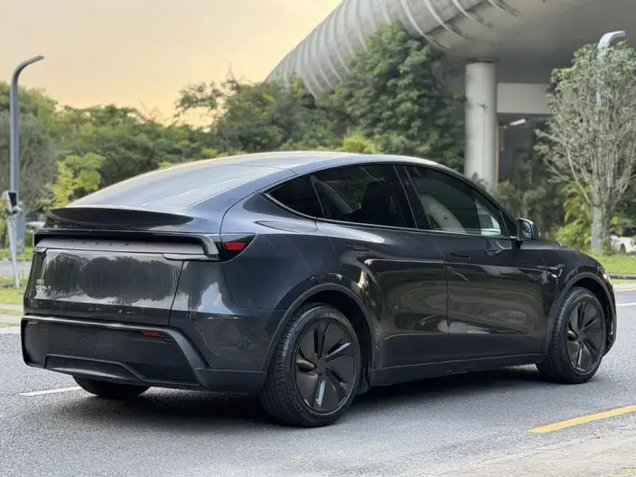 Model Y 2025 Model Rear-wheel drive version – фото 7