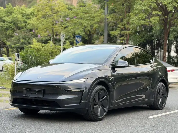 Model Y 2025 Model Rear-wheel drive version – фото 8