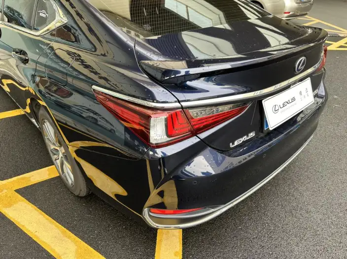 Lexus ES 2020 Model 300h Superior Edition China V – фото 4