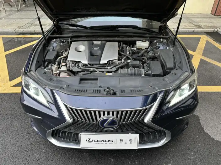 Lexus ES 2020 Model 300h Superior Edition China V – фото 8