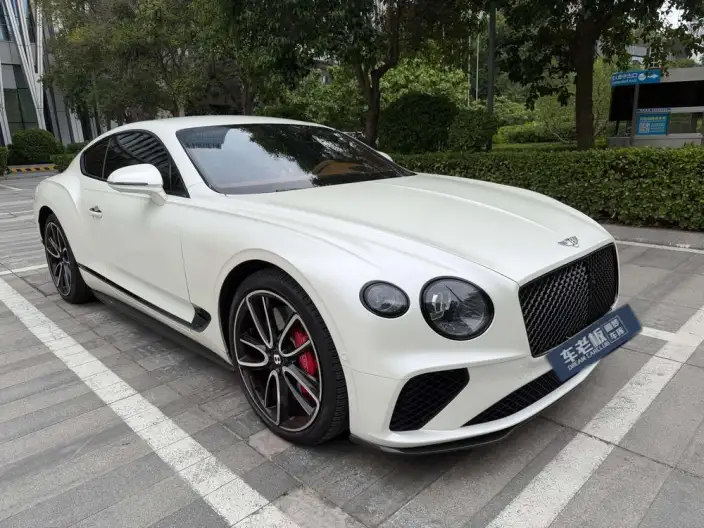 Continental 2022 Model 4.0T GT V8 – фото 3