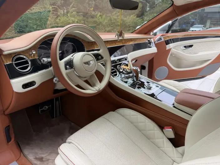 Continental 2022 Model 4.0T GT V8 – фото 8