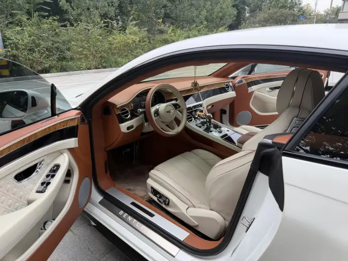 Continental 2022 Model 4.0T GT V8 – фото 9