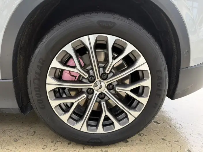 NIO EC6 2024 Model 75kWh – фото 6