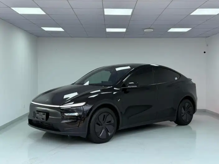Model Y 2025 Model Rear-wheel drive version – фото 1