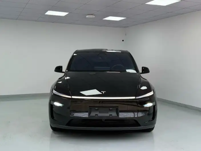 Model Y 2025 Model Rear-wheel drive version – фото 2
