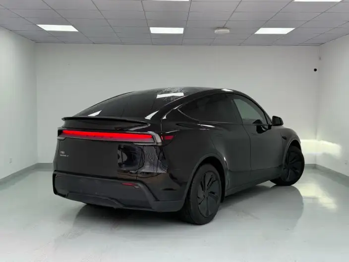 Model Y 2025 Model Rear-wheel drive version – фото 4