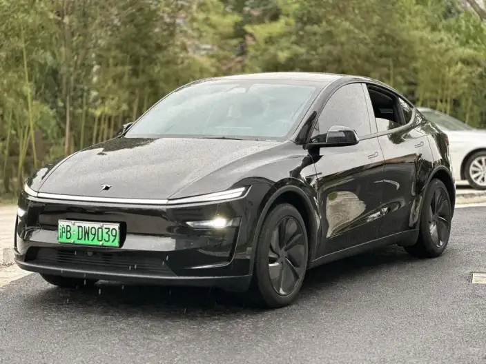 Model Y 2025 Model Rear-wheel drive version – фото 1