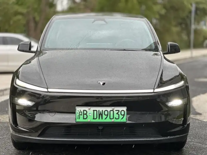 Model Y 2025 Model Rear-wheel drive version – фото 2