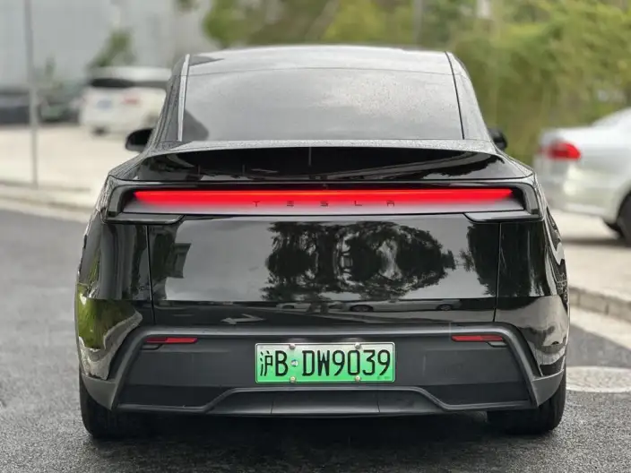Model Y 2025 Model Rear-wheel drive version – фото 3