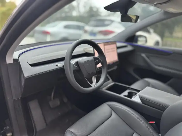 Model Y 2025 Model Rear-wheel drive version – фото 7