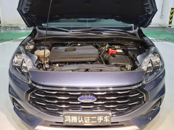 Ford Escape 2020 Model EcoBoost 245 2WD Shine Xiang Model – фото 5