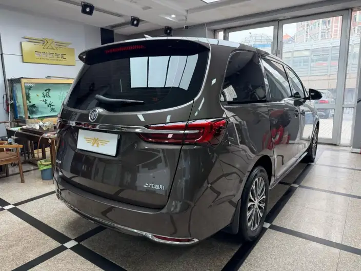 Buick GL8 2023 Model Business class 2.0T Comfort Model – фото 6