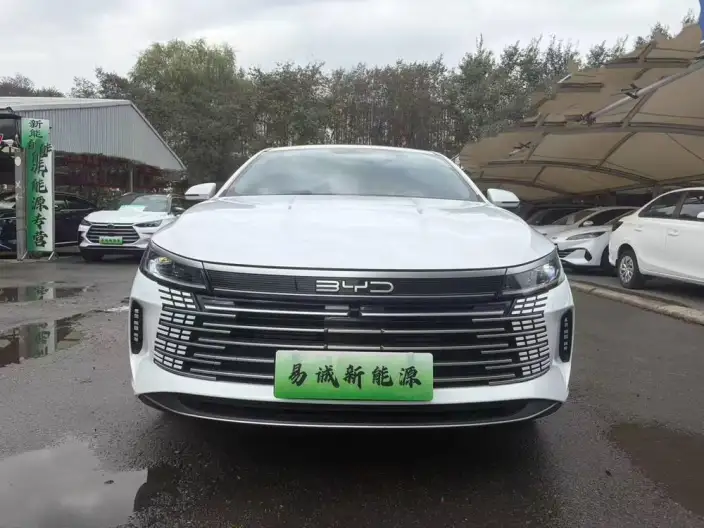 BYD Destroyer 05 2023 Model DM-i Champion Edition 120KM Noble Model – фото 2