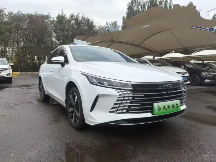 BYD Destroyer 05 2023 Model DM-i Champion Edition 120KM Noble Model – фото 3