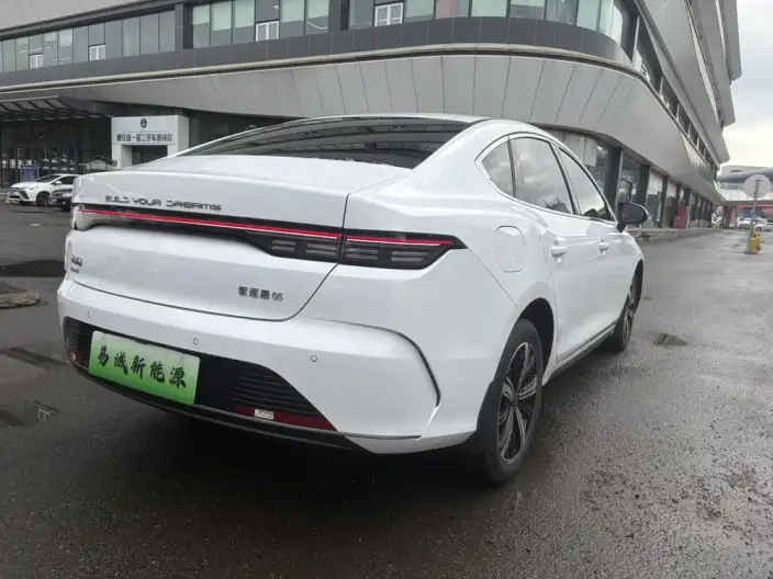 BYD Destroyer 05 2023 Model DM-i Champion Edition 120KM Noble Model – фото 6