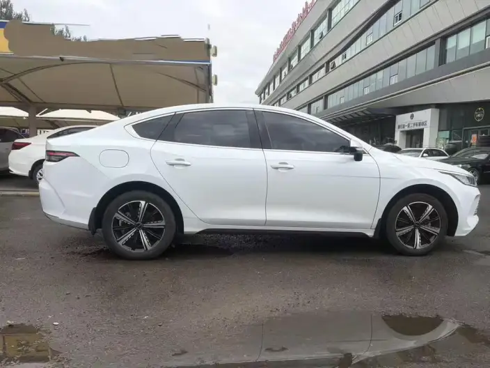 BYD Destroyer 05 2023 Model DM-i Champion Edition 120KM Noble Model – фото 7