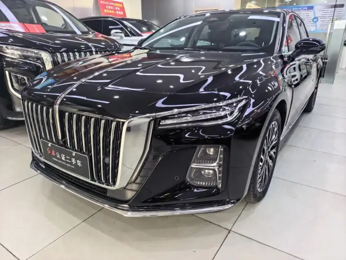 Hongqi H5 2024 Model 2.0T Automatic Flag Enjoy Edition – фото 1