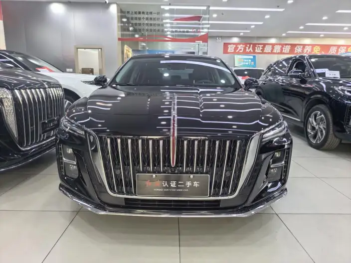 Hongqi H5 2024 Model 2.0T Automatic Flag Enjoy Edition – фото 2