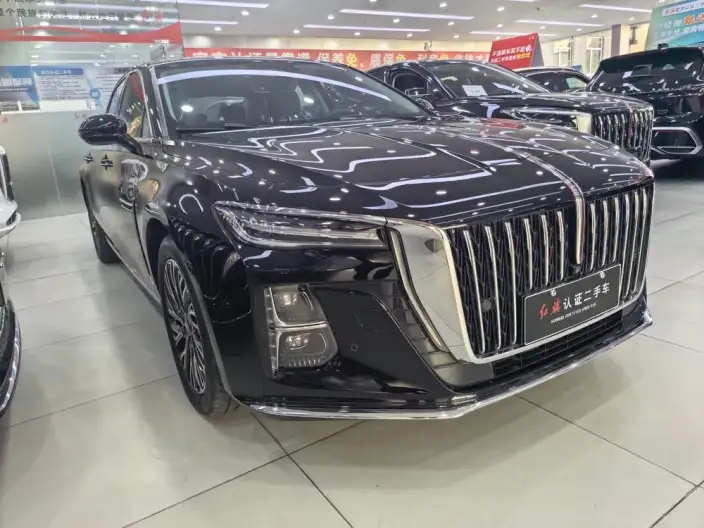 Hongqi H5 2024 Model 2.0T Automatic Flag Enjoy Edition – фото 3