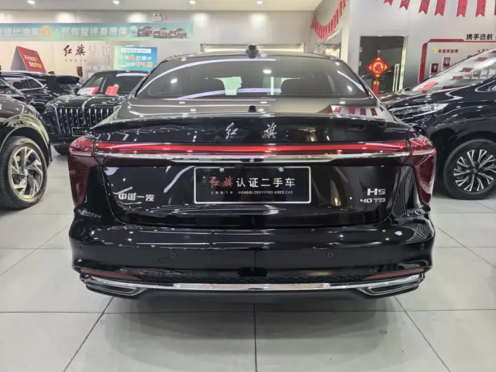 Hongqi H5 2024 Model 2.0T Automatic Flag Enjoy Edition – фото 5