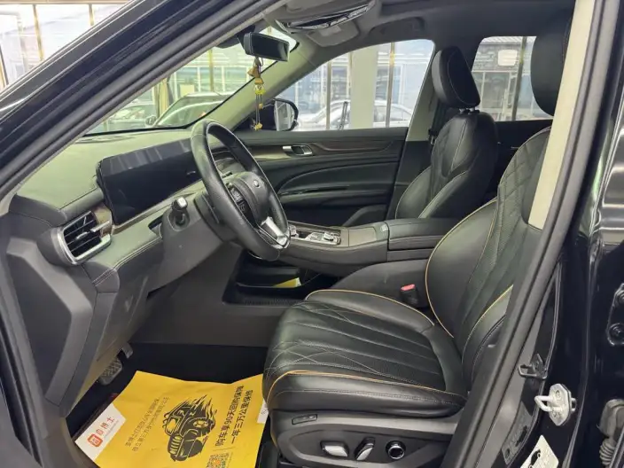 Lingyu 2021 Model EcoBoost 225 6 seat Zun Ling Model Plus – фото 8
