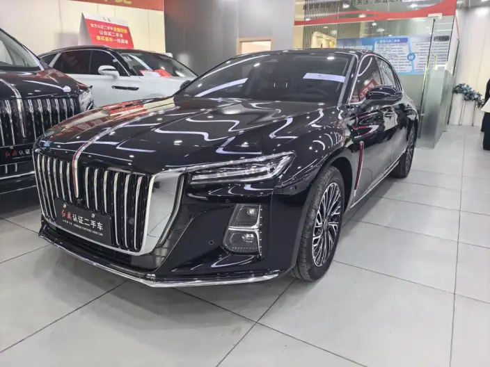 Hongqi H5 2025 Model 2.0T Automatic Flag Enjoy Edition – фото 1
