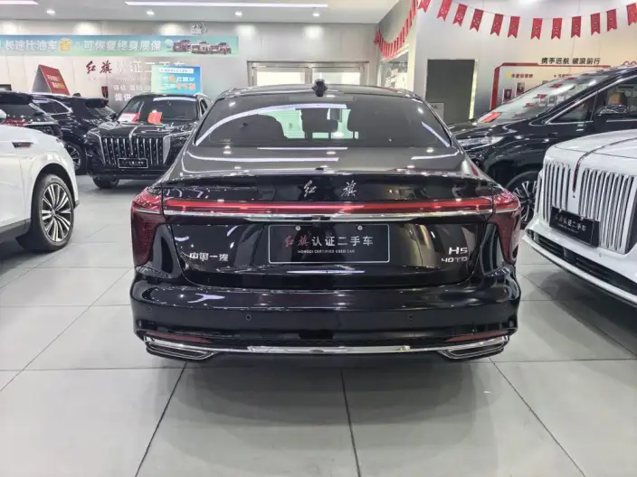 Hongqi H5 2025 Model 2.0T Automatic Flag Enjoy Edition – фото 5